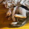 Felicia wartet auf DICH