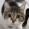 MICHA (réservé)