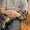 CHASKA ET UQI À ADOPTER EN DUO