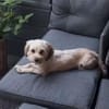 Kleine zarte Milla sucht Menschen zum Ankommen
