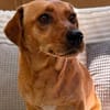 Sasha sucht ihre Seelenverwandte