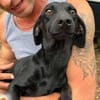 Fifi: kleiner Schatz auf Pflegestelle in 21256 Handeloh