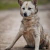 LUCY - eine echte Lebenskünstlerin