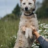 LUCY - eine echte Lebenskünstlerin