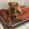 Benjamin unser Pechvogel sucht ein Platz
