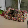 PIXIE ❤ braucht ganz schnell ein neues Zuhause.