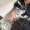 Junghund ♥JONI♥ freundlich, fröhlich wartet in 04157 Leipzig