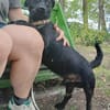 ❤ superlieber Herzensdieb PUPO in Bayern ❤