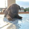 Sole-Malina 🧡🧡🧡liebes Zuhause gesucht
