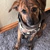 Sole-Malina 🧡🧡🧡liebes Zuhause gesucht