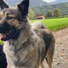 Flora sucht ihre Menschen
