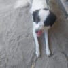 Alexa 46 cm (Pflegestelle)