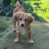 Miro sucht seine Familie ♥