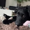 Herzchen Enya 💗 wartet in 04157 Leipzig auf dich