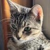 Lilly - menschenbezogen, unkompliziert