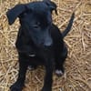 Tina sucht ein warmes Körbchen