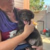 Ritchi - bereit fürs Familienabenteuer