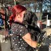 Treuer Begleiter Benji sucht sein Körbchen