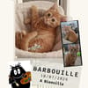 Barbouille