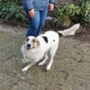 Kuschelbär Quinny sucht seine Familie