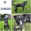 JAELINA ° mit angenehmen ruhigem Wesen