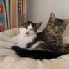 Lea und Flecki wünschen sich eine Familie