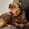 Nela sucht nach ihrem Glück 🐾