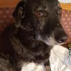 JONNA * ruhige liebe Einzelseniorin