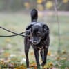 JONNA * ruhige liebe Einzelseniorin