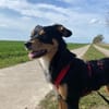 MEIKA -lebhaft & temperamentvoll-