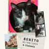 Benito