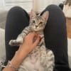 Mimi
