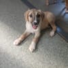 Kleine Kiana sucht große Liebe