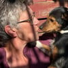 Heidi sucht Menschen mit Terrier Erfahrung