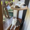 Wendy & Jenny Traumpärchen sucht Traumzuhause