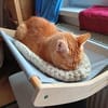 verschmuster Senior NEUS
