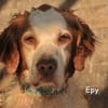 EPY