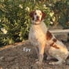 EPY