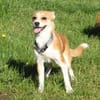 Tini - Herzensfamilie gesucht