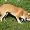 Tini - Herzensfamilie gesucht