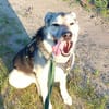 Janno - Menschen mit Erfahrung gesucht