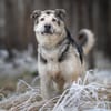 Janno - Menschen mit Erfahrung gesucht