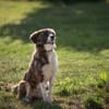 KIBA * Ihre Menschen sind Ihre Welt