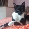 Galya W ~ 3 J sucht ihr für immer zuhause