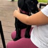 Lebensfrohe Suzy sucht ihre eigene Familie