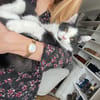 Berlioz