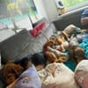 Süße Fine🌺 sucht liebevolles Zuhause