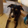 Moxie sucht ihre Familie