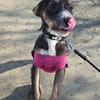 Moxie sucht ihre Familie
