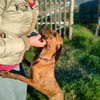 Zara 💝 liebe Hündin auf Pflegestelle in Würzburg